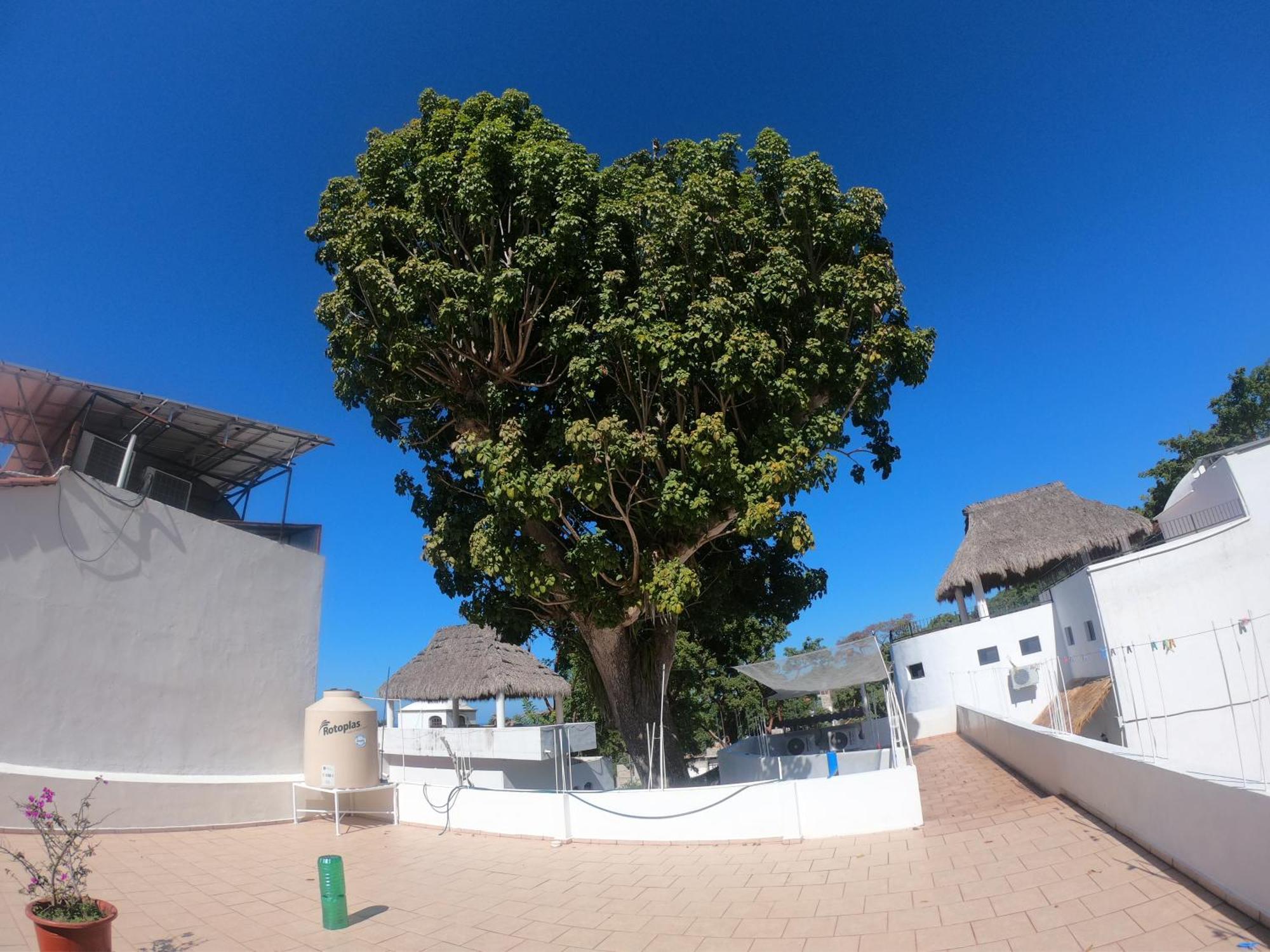 Casa Arbol De Paz Habitacion Doble Chacala  Exterior foto